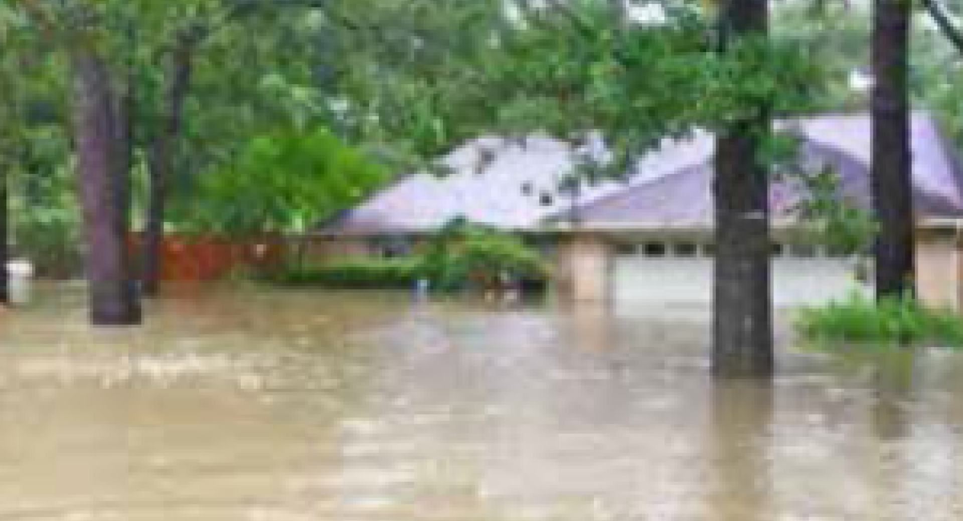 A Hurricane Survival Story: Make a Plan!